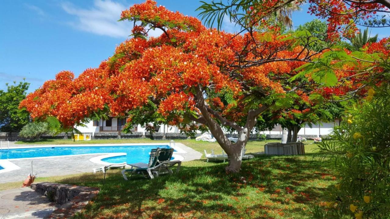 Apartamento Cerca De La Playa Acantilado de los Gigantes Exterior foto